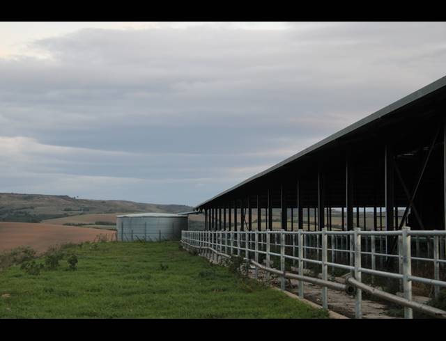 814HA FARM FOR SALE IN RIVERSDALE RURAL
